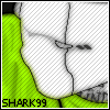     shark99
